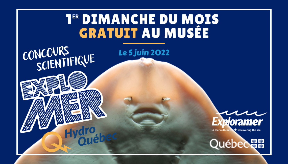 Portes ouvertes 2022