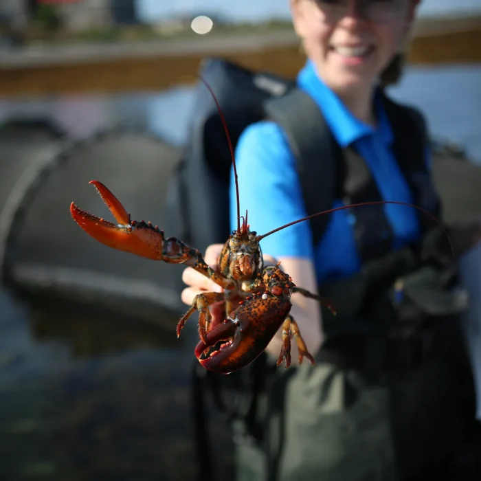 Exploramer - CUEILLETTE DE POISSON