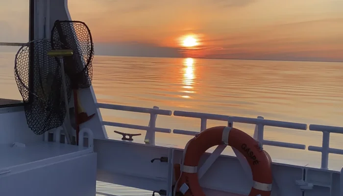 Coucher du soleil sur la mer