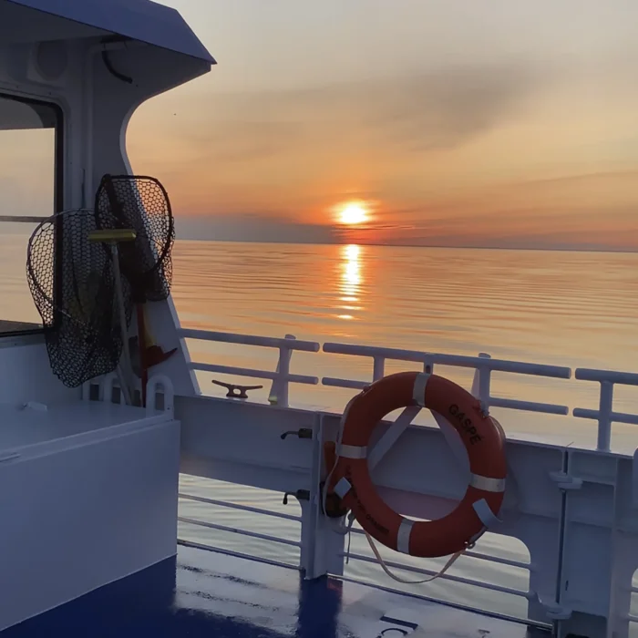 Exploramer - Coucher du soleil sur la mer