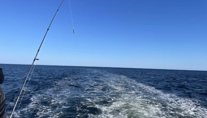 Fourchette bleue, initiation à la pêche durable