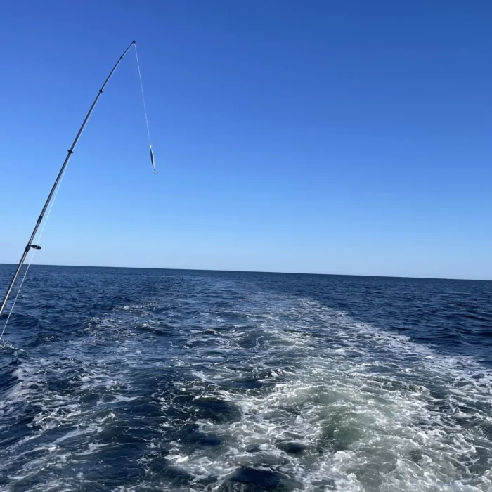 Exploramer - Fourchette bleue, initiation à la pêche durable