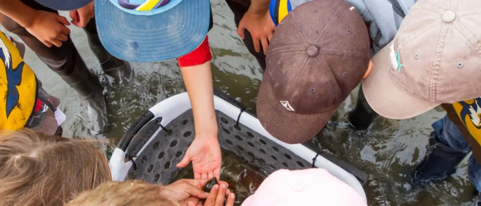 YOUNG EXPLORERS ACTIVITY