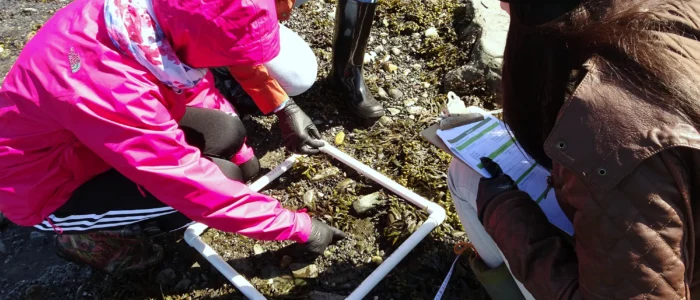 Littoral sous la lentille
