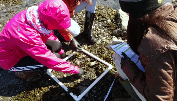 Littoral sous la lentille