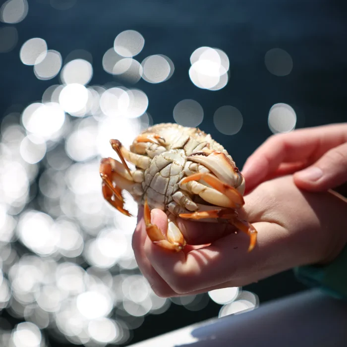 Excursion en mer