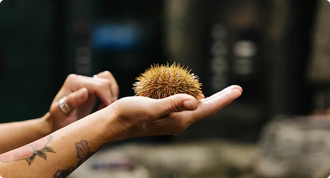 AQUARIUM ET BASSIN TACTILE