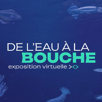 De l’eau à la bouche