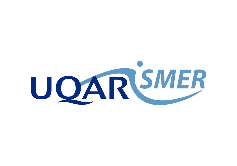 logo-ismer