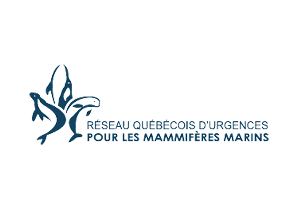 logo-rqumm