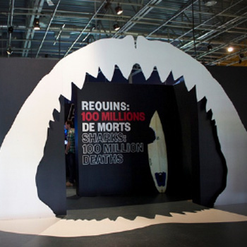 Requins : 100 millions de morts